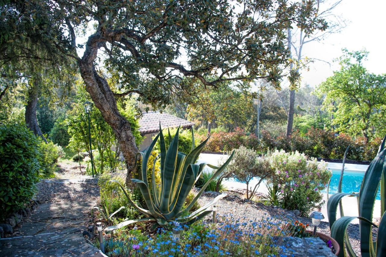 Bed and Breakfast La Garriniere Saint-Raphaël Zewnętrze zdjęcie